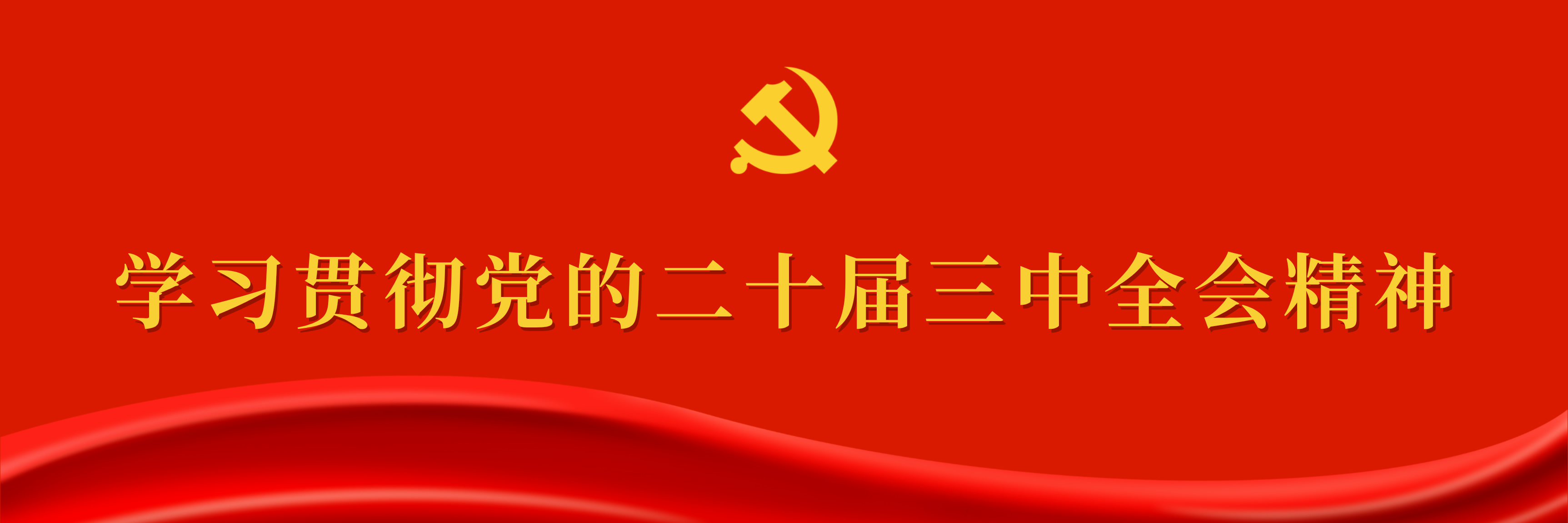 学习贯彻党的二十届三中全会精神